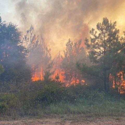 As persistent triple-digit temperatures and dry conditions increase wildfire danger for much of the state, Texas A&M Forest Service urges Texans to be cautious with outdoor activities that create sparks.